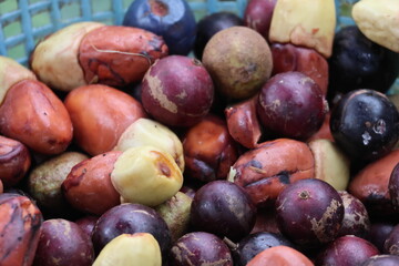 local luang prabang fruits