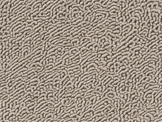Obraz premium Carpet Texture ( Red Leather Texture )