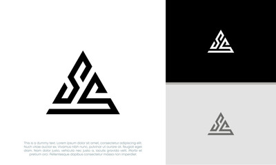 Initials SS logo design. Initial Letter Logo.	