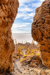 サボテンが彩る絶景 - ウユニ塩湖 インカワシ島