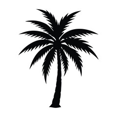   one palm tree silhouette illustration on white background.