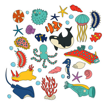 Vibrant Pattern of Fish, Sea Creatures, and Corals