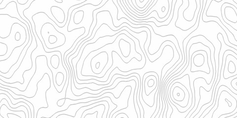 Fototapeta premium White topography topology vector white background fresh contour map texture. white seamless pattern Abstract background with a wave Topography and geography map grid abstract backdrop.