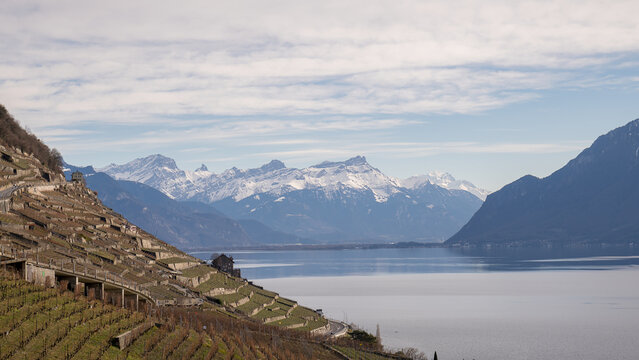 Sunny winter day at Lavaux vineyards with Lake Geneva and Alps