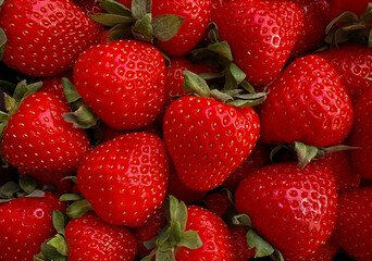 A close up of a bunch of red strawberries