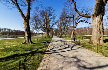 Early springtime view looking westwards along the tree-lined avenue of Elm Walk, America's Front Yard, Washington DC