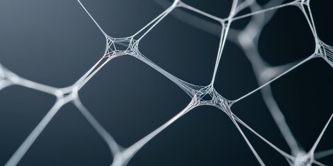 Fototapeta premium effects transformation perspective concept. Intricate web of fine lines and nodes on a dark background.