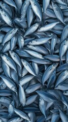 Obraz premium Various types of blue fish arranged closely together on a flat surface, showcasing their shiny scales and detailed features during early morning hours