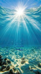Obraz premium Sunlight illuminates the underwater world with vibrant fish and coral at a tropical reef during midday