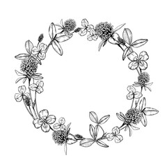 Wild flowering plant clover wreath with blooms and leaves. Hand drawn vector illustration. Sketch painted by black inks. Black line on white isolated background. For card logo package invitation