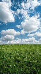 Obraz premium A vast, lush green field stretches beneath a brilliant blue sky, adorned with fluffy white clouds on a delightful sunny day