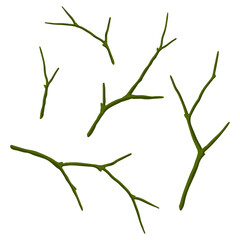 Set of dry bare branches. Decorative natural twigs.