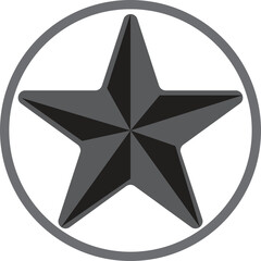 Fototapeta premium silver star icon
