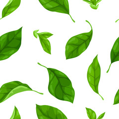Pattern with leaves. Spring or summer stylized foliage.