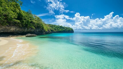 Fototapeta premium Tranquil Tropical Beach with Clear Water and Lush Green Landscape