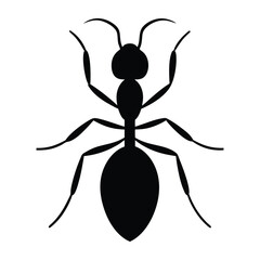 An ant vector silhouette illustration