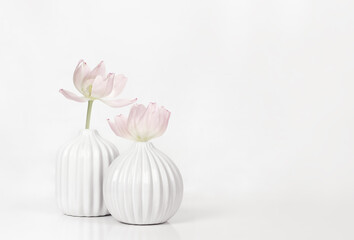 Two white textured vases with pink fading tulip flowers on white table