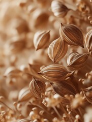 Macro closeup view of coriander seeds. Food background illustration