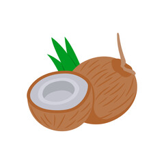 Coconut, Holidays Vector Illustration