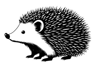 Hedgehog - Black and White Isolated Icon - Vector illustration.Hedgehog, Black and White Vector illustration.Hedgehog Art for Nature Themed Projects.