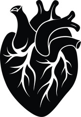 human heart silhouette, human heart vector icon design, anatomical illustration graphic
