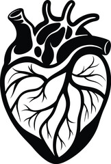 human heart silhouette, human heart vector icon design, anatomical illustration graphic