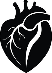 human heart silhouette, human heart vector icon design, anatomical illustration graphic
