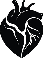 human heart silhouette, human heart vector icon design, anatomical illustration graphic