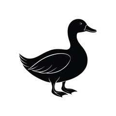 duck vector illustration isolated on white background