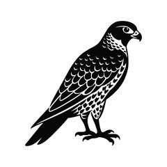 eagle vector illustration on a white background