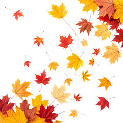 Vibrant Autumn Leaves Falling Against a transparent background