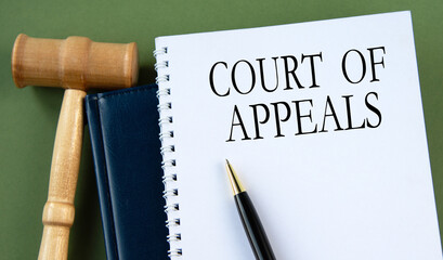 COURT OF APPEALS - words on a white sheet with a judge's gavel
