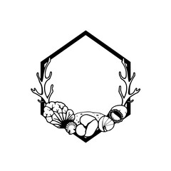 "Hexagonal Frame of Seashells and Coral" © MatandSterre