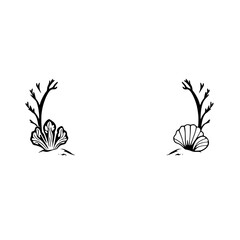Minimalist Illustration of Shells and Foliage on White Background