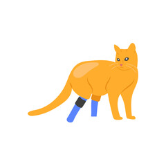 Disabled, Cat, Disability Vector Illustration Isolated