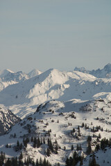 Verschneite Berglandschaft mit Tannen in den Alpen