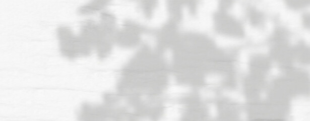 Glare from the sun's rays on the wall. Blurred shadows from leaves and plants in the room. Soft overlay of natural light. Abstract background for product presentation.Natural light layout.