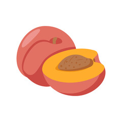 Peach, Summer Flat Vector Illustration. Isolated