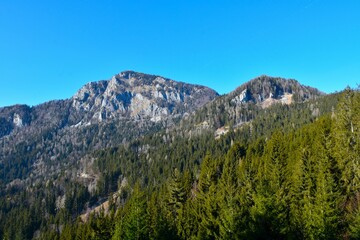Coniferous forest covered slopes bellow Virnikov Grintavec mountain peak in Gorenjska, Slovenia