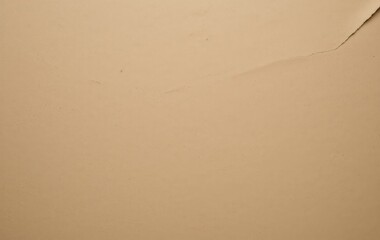 cardboard paper texture background