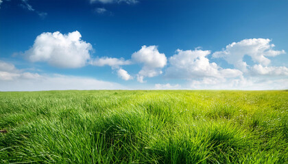 green grass and blue sky with white clouds
