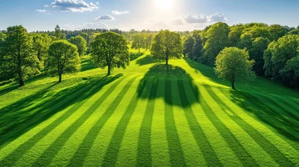 Gardinen Sunlit park landscape with manicured lawn, trees, and rolling hills. © milenialdesastudio