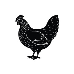 hen silhouette vector 