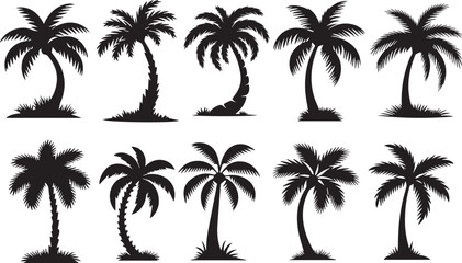 Vector palm tree illustrations for summer beach and island themes