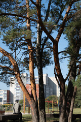 photo Urban Oasis: Trees and Play Area Providing Natural Retreat Within Cityscape Amidst Residential Buildings and Leisure Activities in a Tranquil Environment