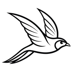 vector illustration of a bird