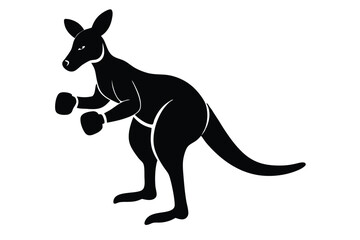 Fototapeta premium kangaroo with baby
