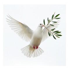 Fototapeta premium white dove carrying olive branch symbol of peace against a white background