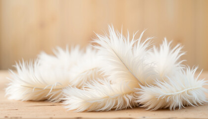 White feathers on wooden surface