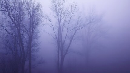 Misty forest trees, winter scene
